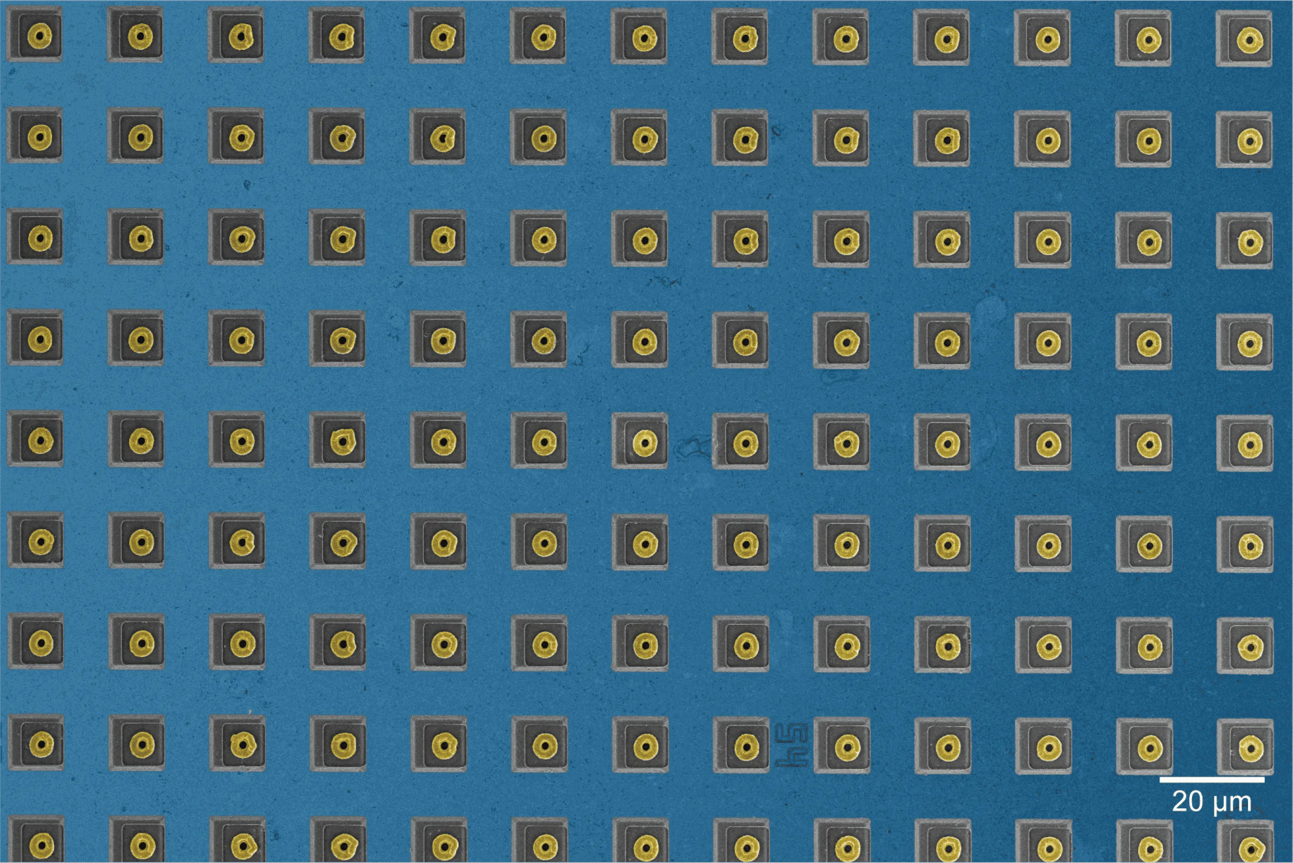 ハーバード大、CMOSチップでラット神経細胞間の7万のシナプス結合マッピングに成功