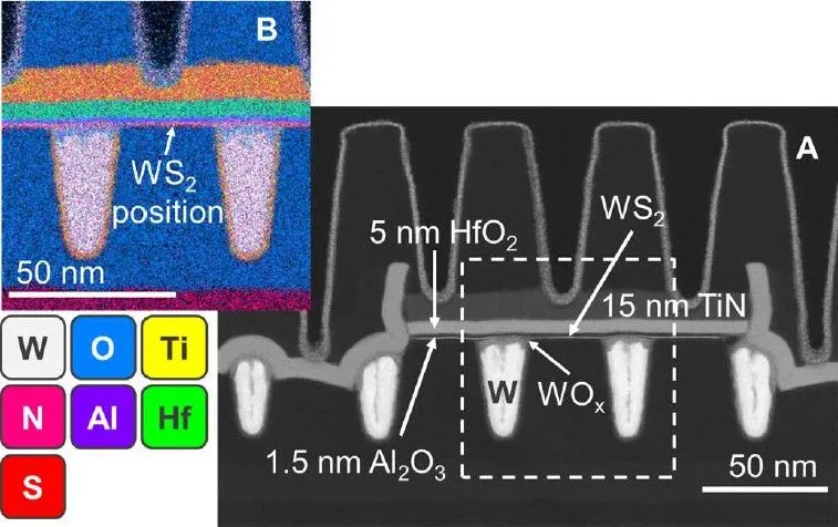 Figure 1 - HAADF-STEM and EDS analysis for a WS2 device with 50nm CPP.webp