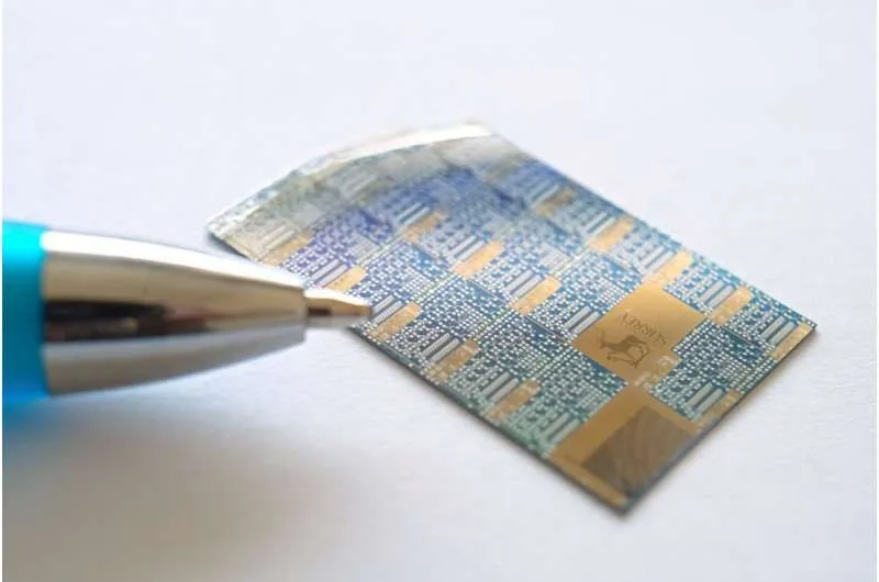 逆転の発想：有機トランジスタの「エネルギー障壁」が性能を飛躍させる