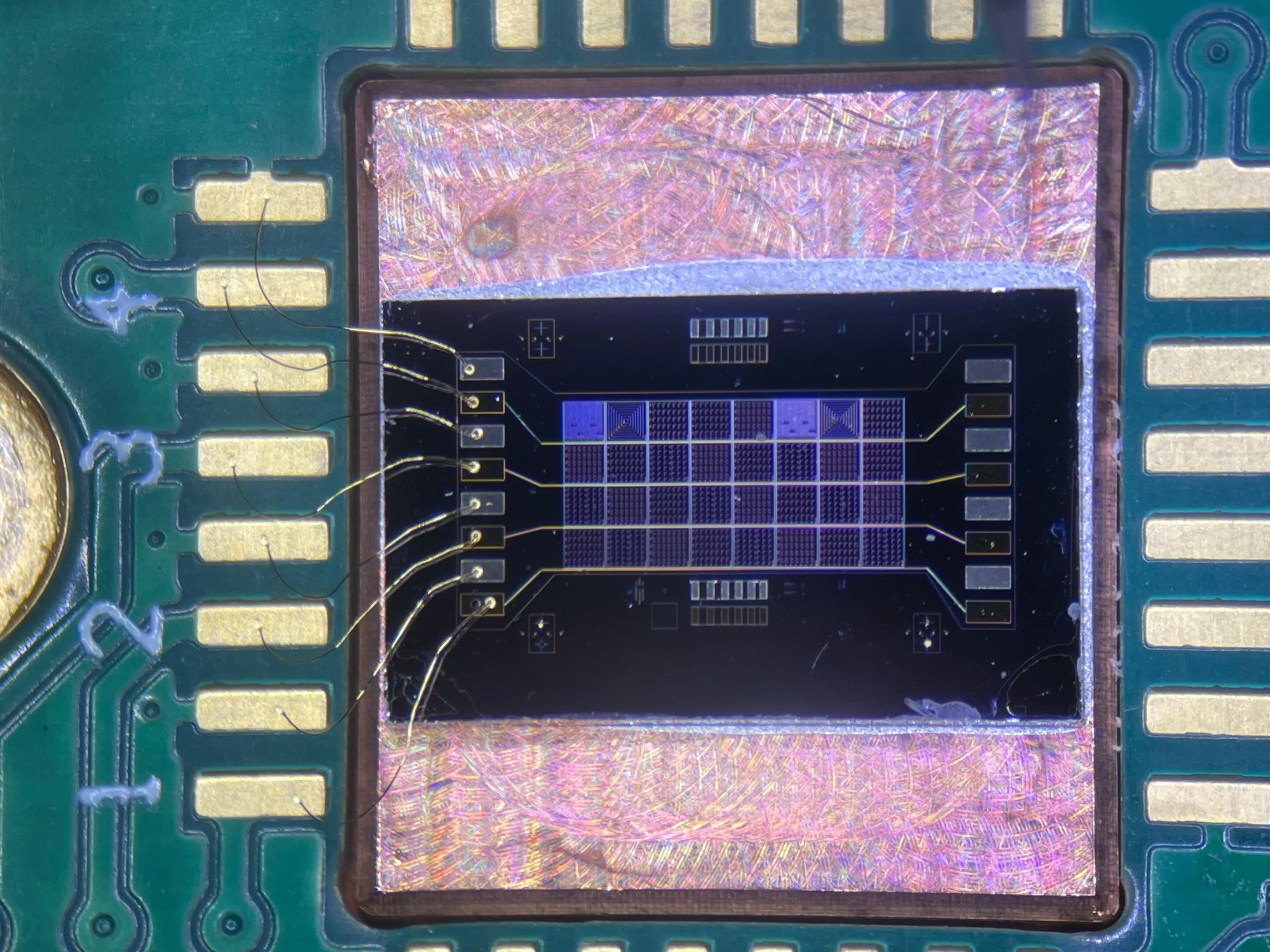 a-quantum-coherent-qua-1.webp