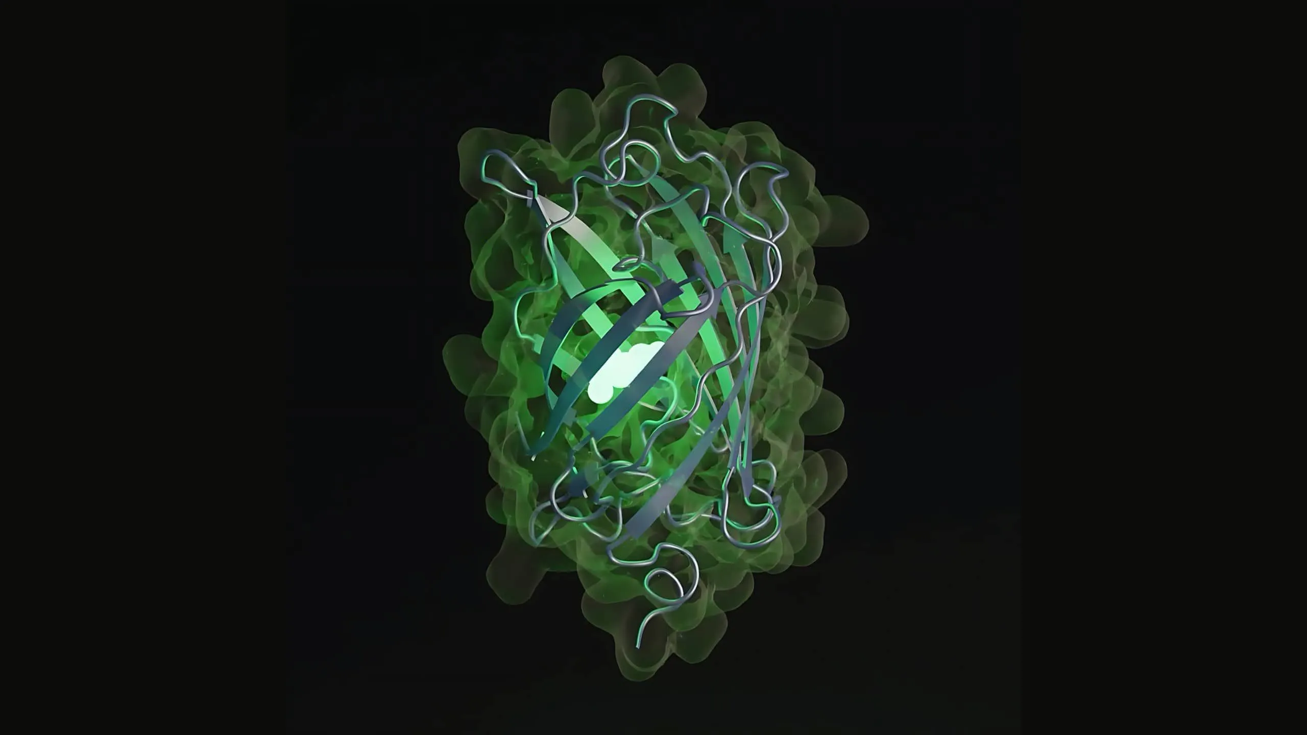 AIが5億年の進化を再現、未知の蛍光タンパク質を創造 ─自然界が選ばなかった道を開拓