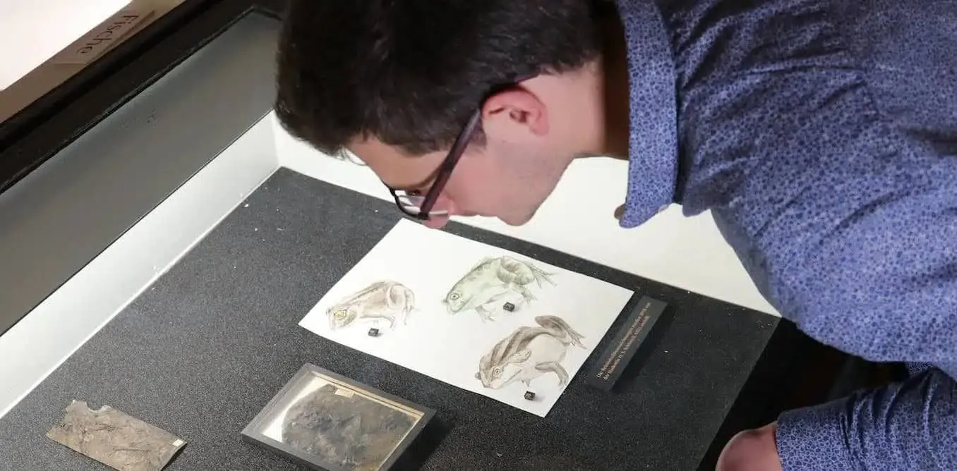 新たな研究によって、古代のカエルはセックスのしすぎで死んだことが判明