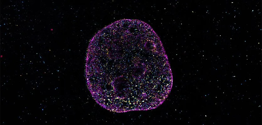 生命の設計図は“4文字”だけではなかった？DNAに未解明の「幾何学的コード」が隠されていることが判明