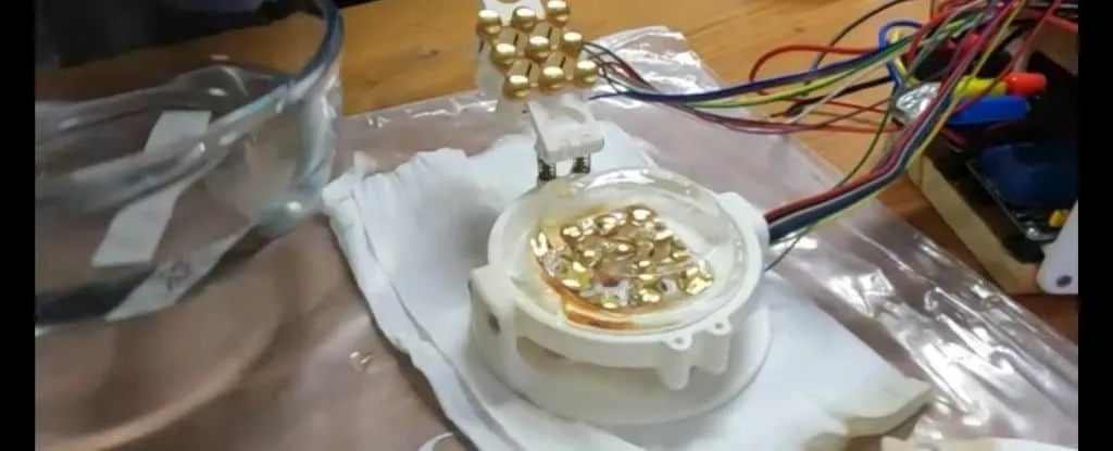 なぜ実験室で培養された脳細胞は、意識を持たないかもしれないのか