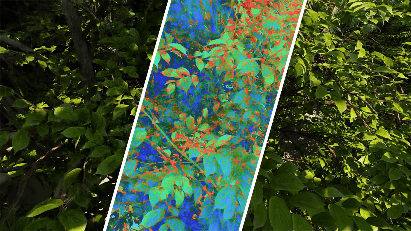 Intel、ゲーム画質の「正解」をAIで示す新評価ツール「CGVQM」をオープンソース化：DLSS/FSR戦争に終止符を打つか？