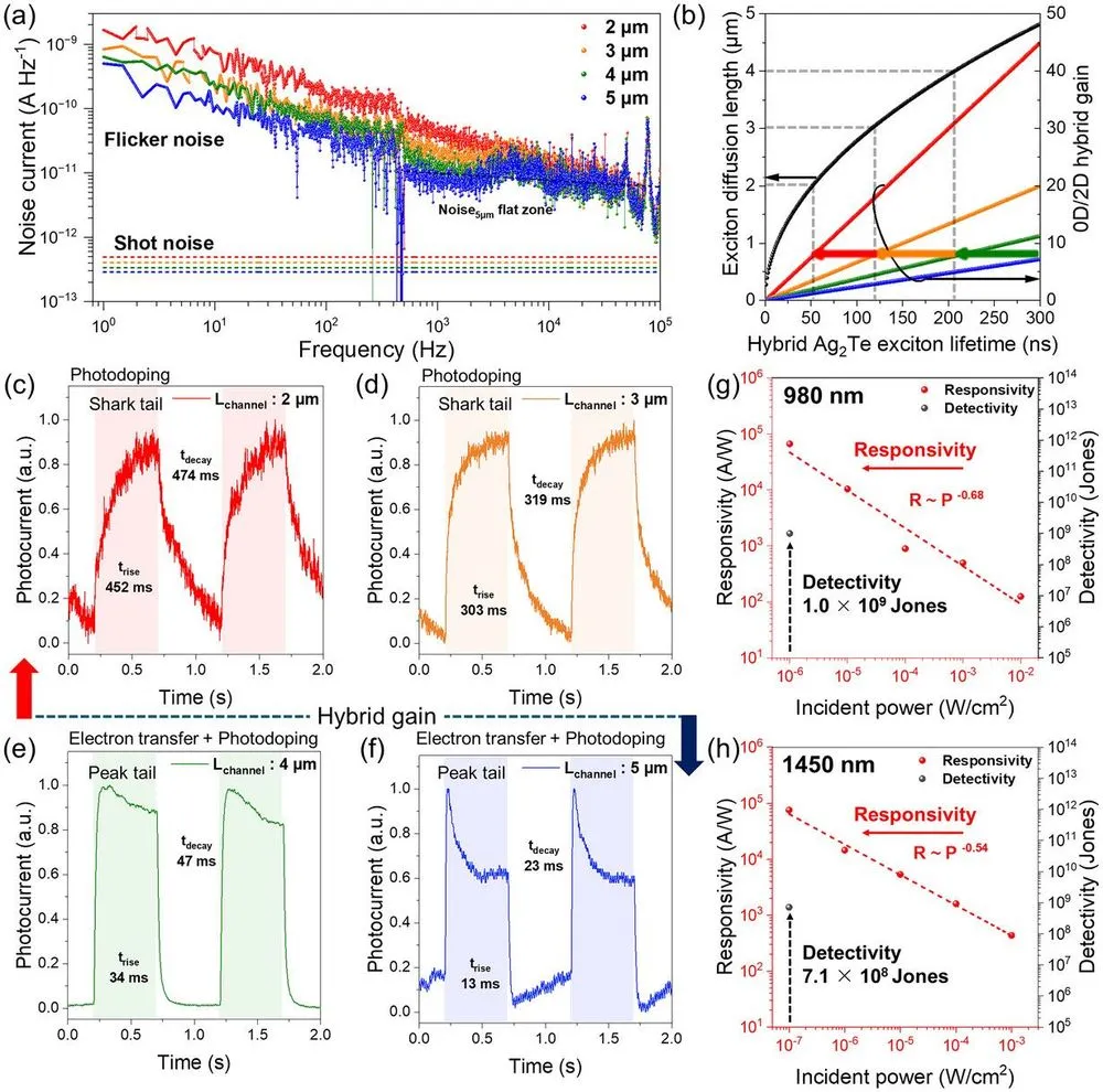 adma72856-fig-0002-m.webp