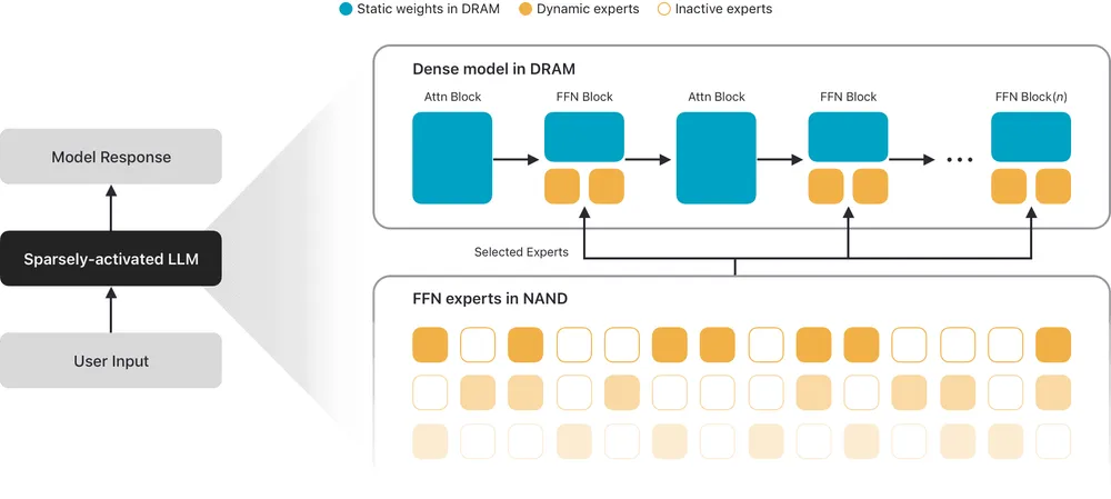 afm3-model\_architecture\_fig1-modified.webp