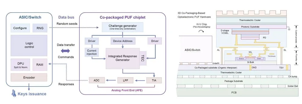 an-ultrafast-authentic-1.webp