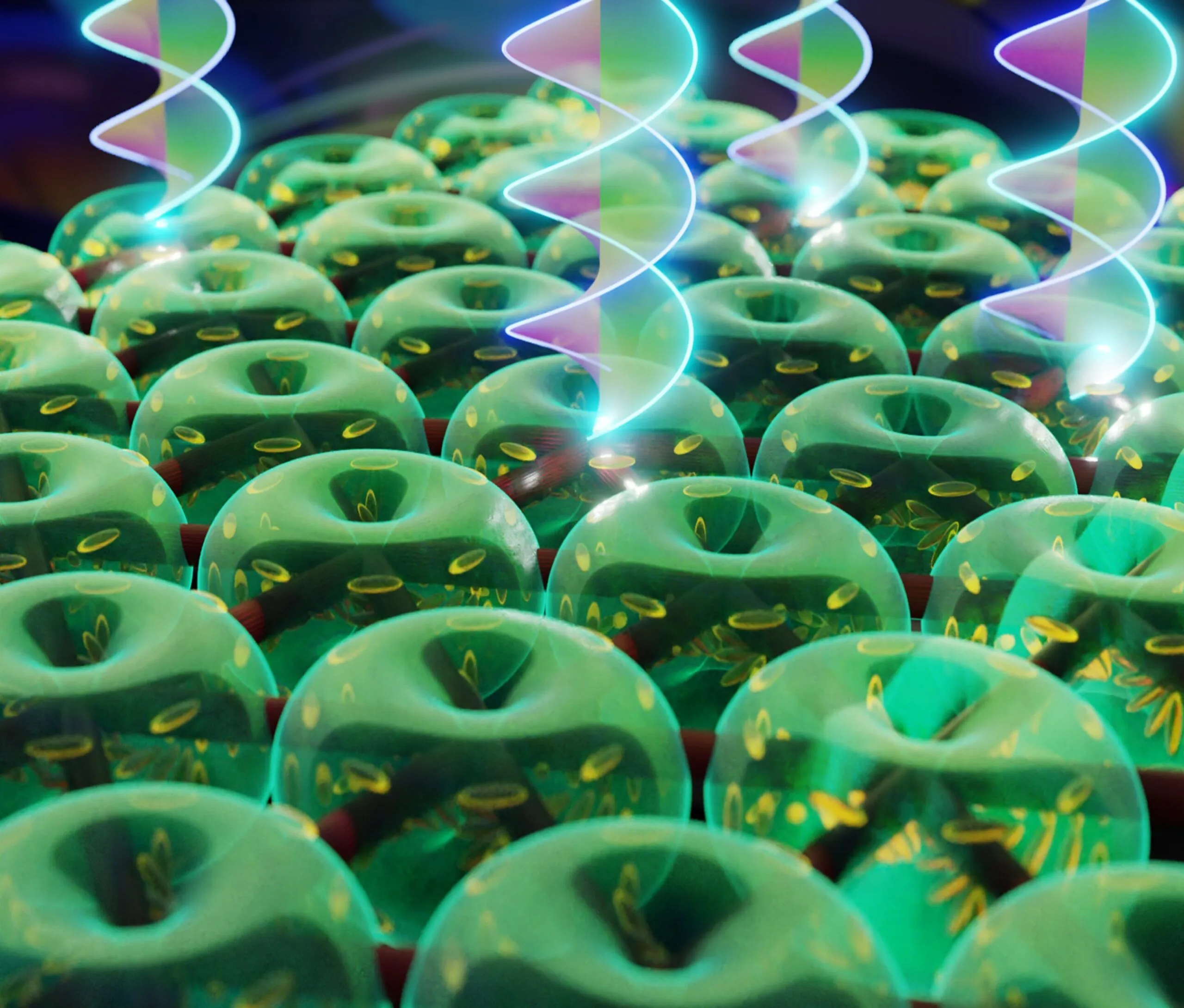 光の竜巻を基底状態で生成：液晶「Toron」と合成磁場が切り拓くナノフォトニクスと量子技術の新境地