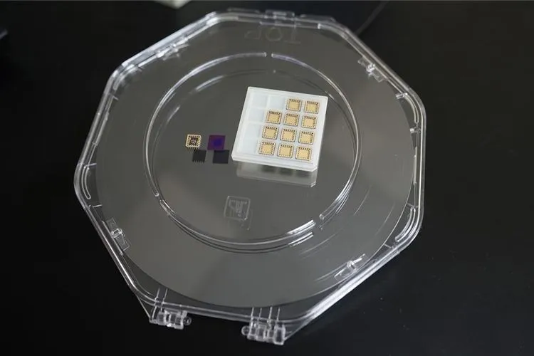 半導体の壁を破る「魔法のステッカー」、台湾チームが世界初のフリースタンディング強誘電体トランジスタを開発