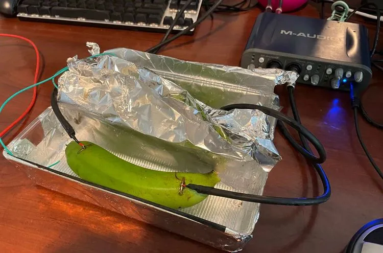 銅線、バナナ、泥――ブラインドテストが暴いたオーディオケーブル信仰の虚構