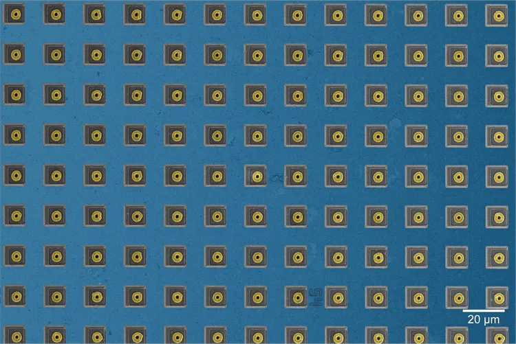 ハーバード大、CMOSチップでラット神経細胞間の7万のシナプス結合マッピングに成功