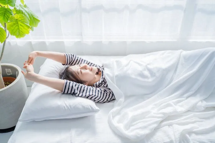 ショートスリーパーは遺伝子の変異が関係している可能性がある