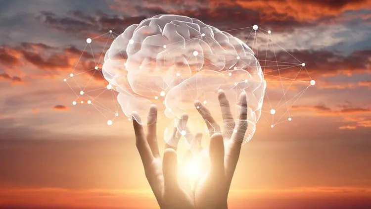 神経科学者が開発した脳マッピングの「共通言語」：新デジタルツールが神経疾患研究を加速