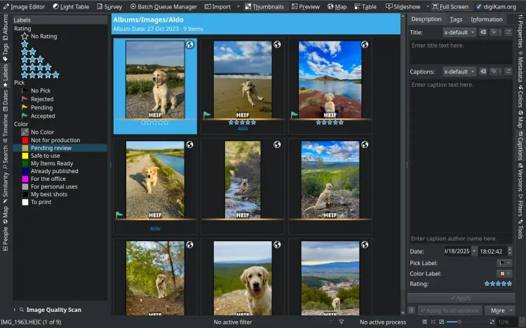 digiKam 9.0.0：オープンソース写真管理ソフトの金字塔がUI刷新とAI連携強化で大きく生まれ変わった