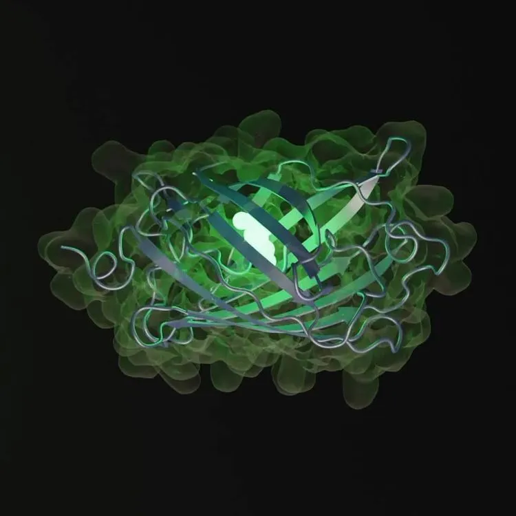 元Metaの研究者ら「自然界にはない」タンパク質を作り出すAIモデル「ESM3」を開発