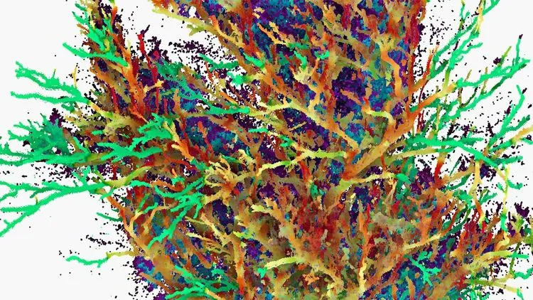 鳥にとって“良い木”とは何か？AIを使って聞いてみた