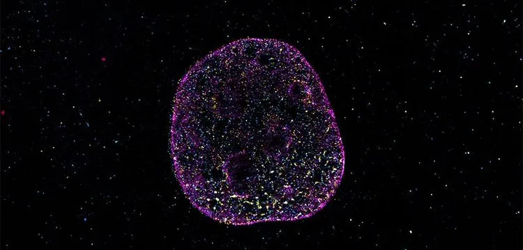 生命の設計図は“4文字”だけではなかった？DNAに未解明の「幾何学的コード」が隠されていることが判明