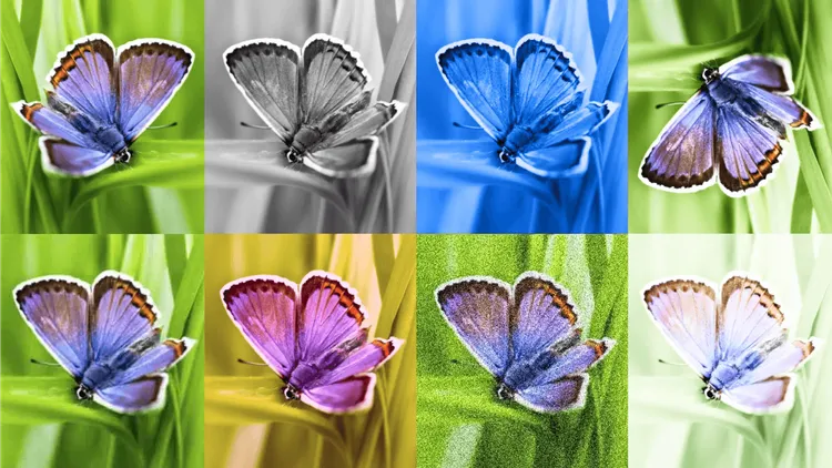 GoogleのSynthIDのようなAI「ウォーターマーク」とは何か、そして効果はあるのか?