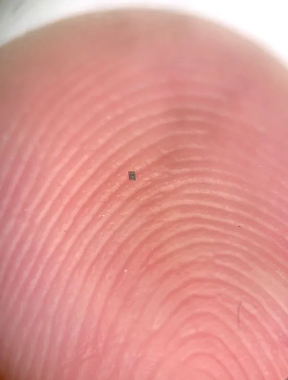 「自ら考え、泳ぐ」世界最小の“単細胞生物”サイズのマイクロロボットが誕生：医療とナノテクの常識を覆す0.1mmの革命