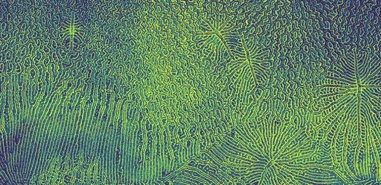 光を&#8221;ねじる&#8221;画期的な技術が、有機ELなどの電子機器に革命をもたらす可能性