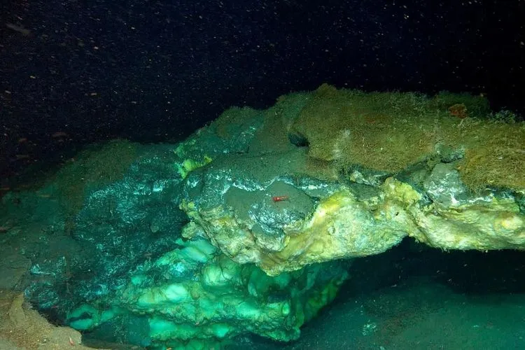 定説を覆す「世界最深」のメタンハイドレート冷湧水域をグリーンランド海で発見：深度3,640mに息づく未知の生態系とフレイヤ・マウンドの謎