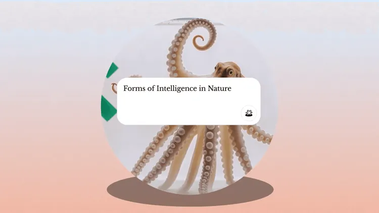 Spotify元幹部、次なる挑戦はAI教育革命「Oboe」：プロンプト一つで“あなただけの教師”が生まれる新時代の幕開け