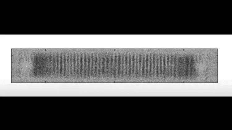 時間結晶を動画撮影することに初めて成功