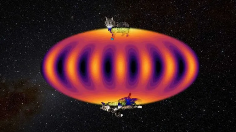 シュレーディンガーの猫が量子コンピュータの救世主に？新技術でエラー耐性が大幅向上