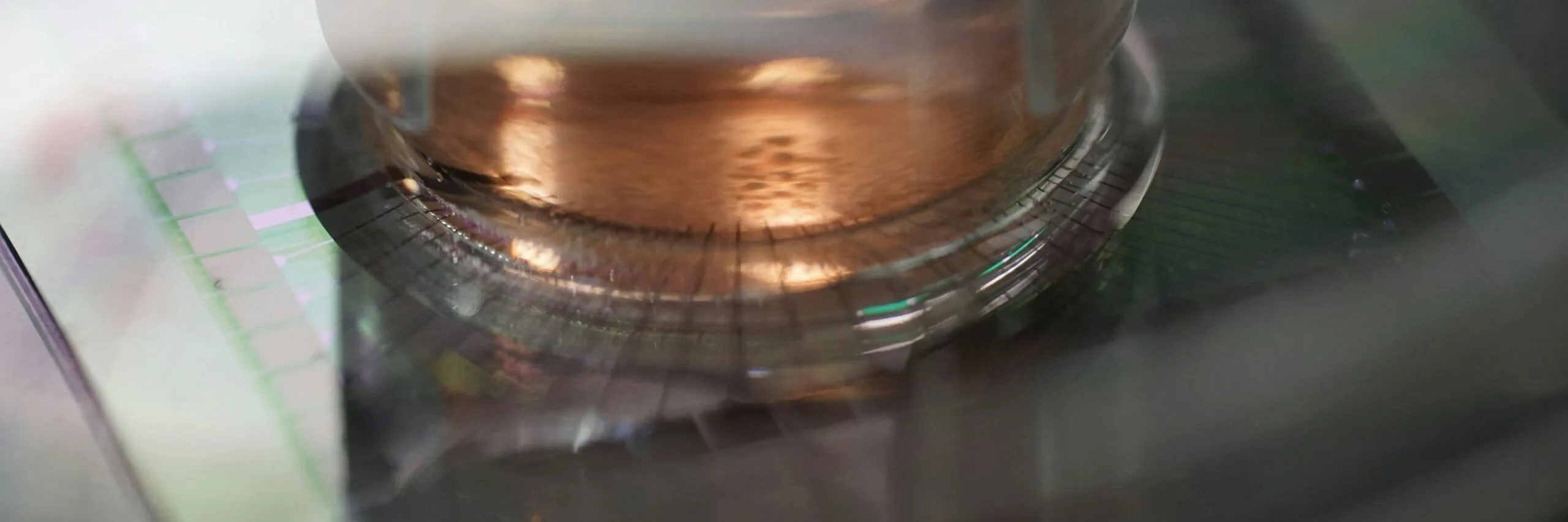 科学者はいかにしてヒト脳細胞からコンピューターを培養しているのか、そしてなぜ研究を続けるのか