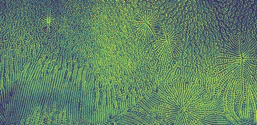 光を&#8221;ねじる&#8221;画期的な技術が、有機ELなどの電子機器に革命をもたらす可能性