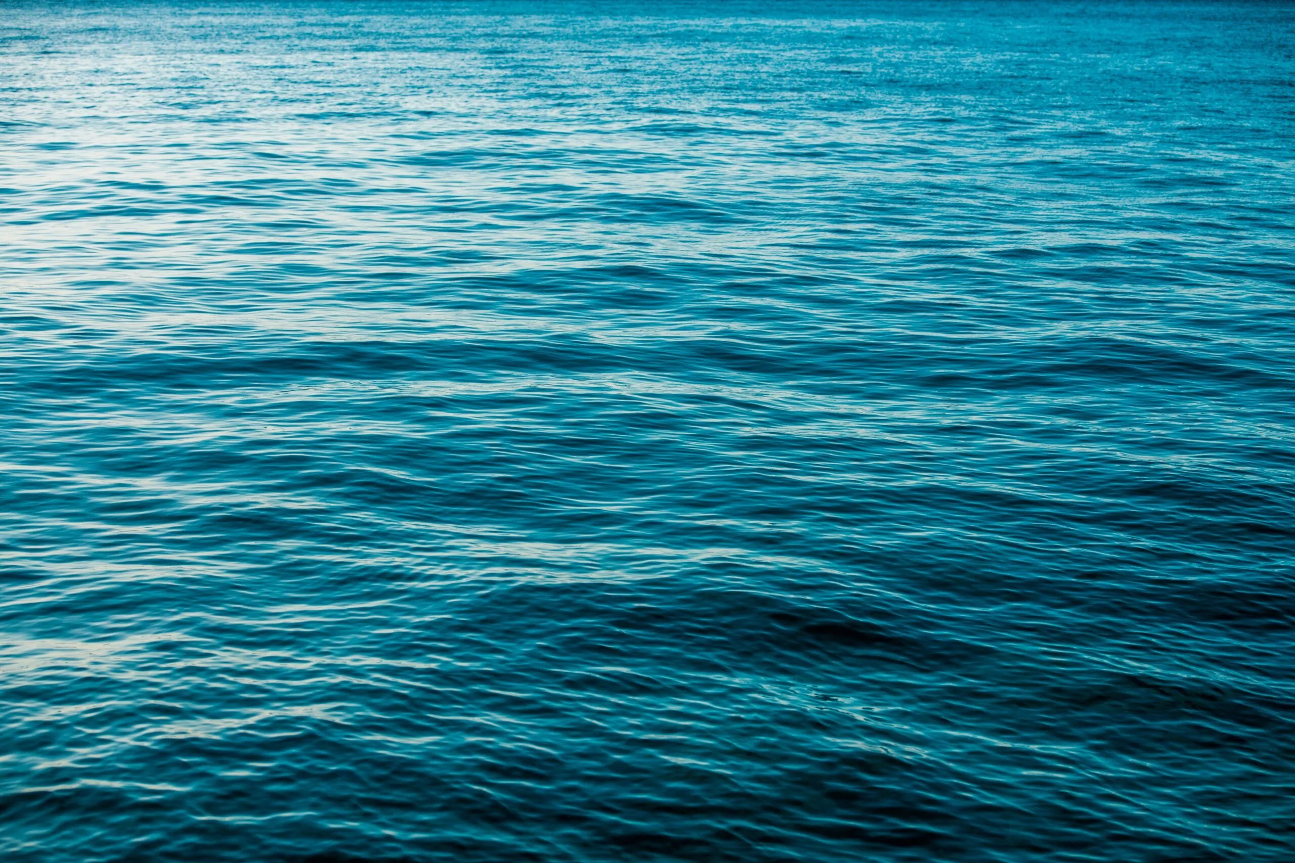 AIボット対策のデータ汚染は「海におしっこをするようなもの」：個人開発者が生んだ「Anubis」が示すWeb保護の新境地