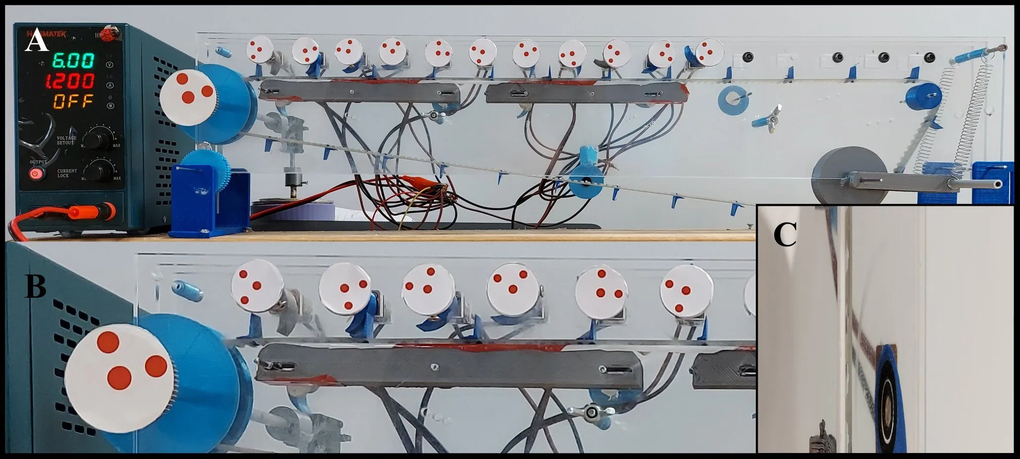 生命の神秘を機械が解き明かす：ブリストル大学が実証した「筋肉の自己組織化」と次世代ロボットへの道