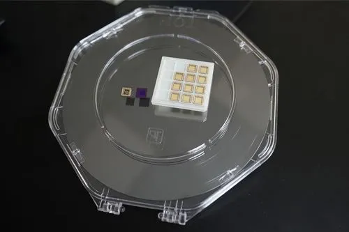 半導体の壁を破る「魔法のステッカー」、台湾チームが世界初のフリースタンディング強誘電体トランジスタを開発