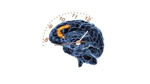 脳は時計ではなく、カウンターのように動作して時間を認識している