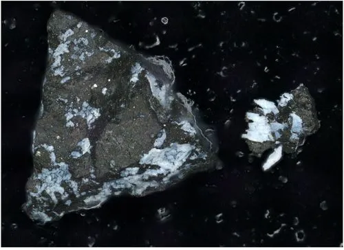 小惑星のサンプルはかつて湿潤な世界の一部だった