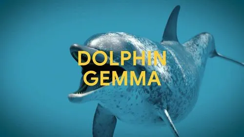 Google、イルカと「会話」するAI「DolphinGemma」開発 – 40年の研究データとPixelスマホで種間コミュニケーションに挑む