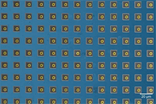 ハーバード大、CMOSチップでラット神経細胞間の7万のシナプス結合マッピングに成功