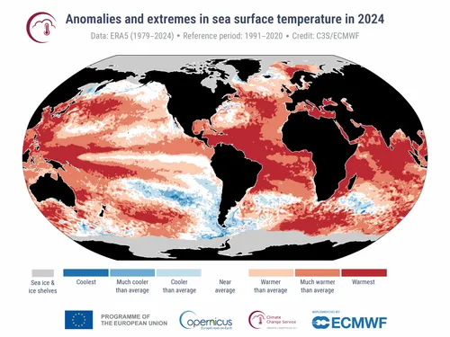 2024年は観測史上最も暑い年になった – 産業革命前から1.5℃以上の上昇を初めて確認
