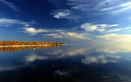 米・カリフォルニア州の湖で3億7,500万台のEVバッテリーに相当する多量のリチウムが見つかる