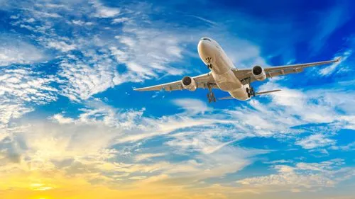 CO2を吸収しながら航空機を飛ばすことが可能な「液体ナトリウム燃料電池」の開発にMITが成功