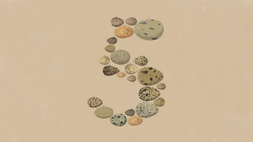 Anthropic「Claude Opus 5」発表、実務エージェントでFable 5に迫り料金は半額
