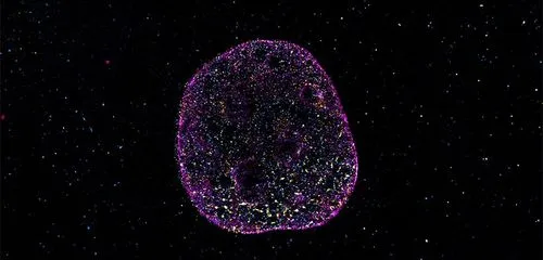 生命の設計図は“4文字”だけではなかった？DNAに未解明の「幾何学的コード」が隠されていることが判明