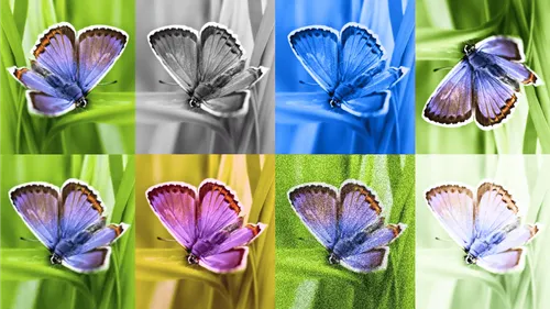 Google、AI生成画像に除去が不可能な透かしを埋め込む「SynthID」を開発