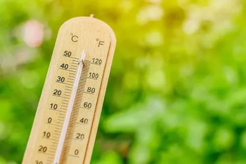 2024年は史上初の1.5℃上昇を記録、観測史上最も暑い年になることが確実に