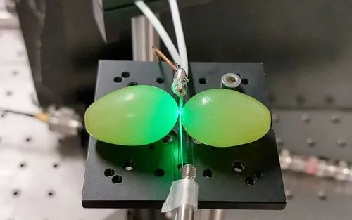 ブドウが量子センサーの性能を2倍に向上させる – マッコーリー大学が画期的な発見