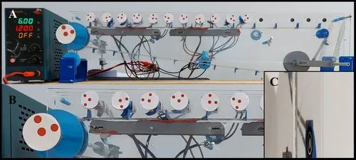 生命の神秘を機械が解き明かす：ブリストル大学が実証した「筋肉の自己組織化」と次世代ロボットへの道