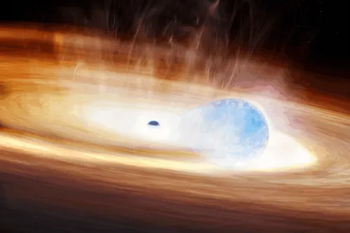 ブラックホールに挑んだ星の「二度目の死」をAIが発見：超新星SN 2023zkdの謎とは