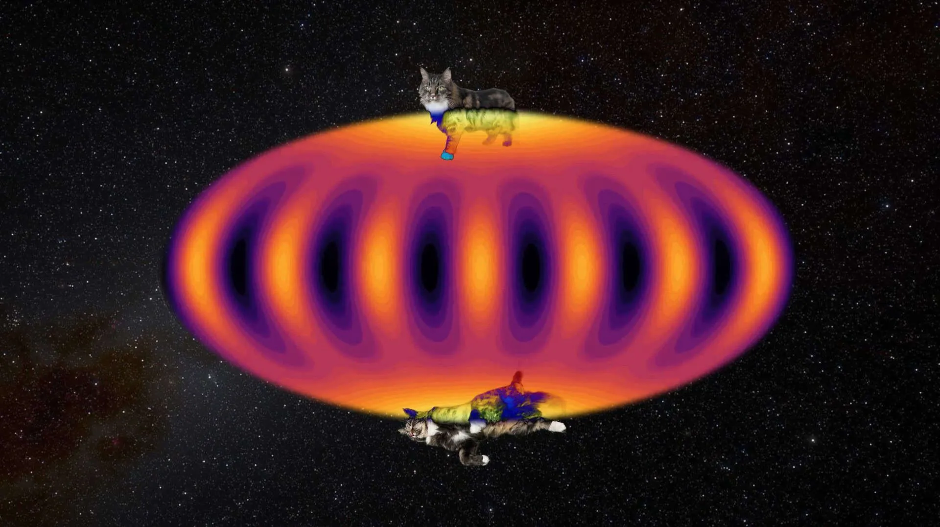 シュレーディンガーの猫が量子コンピュータの救世主に？新技術でエラー耐性が大幅向上