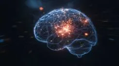 DRAMと2D半導体の融合：生物の脳が持つ「内在的可塑性」を初めて実装した人工ニューロンが開発された
